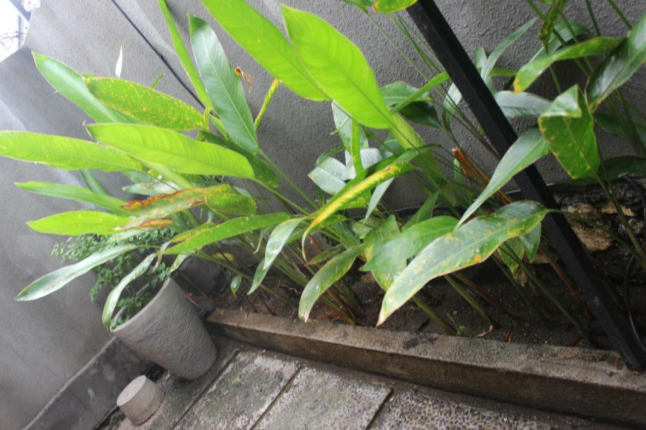Paranyogan Homestay 2 Jimbaran Екстериор снимка