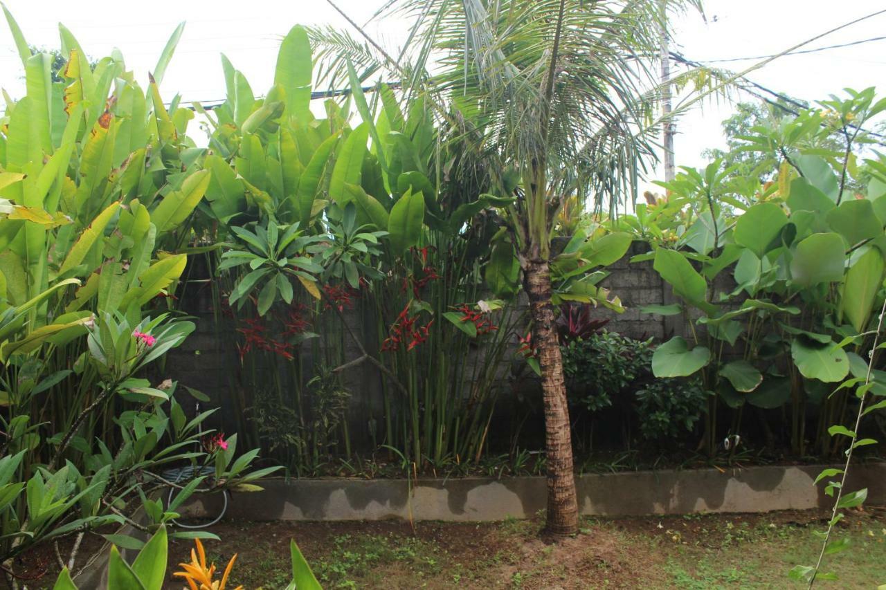 Paranyogan Homestay 2 Jimbaran Екстериор снимка